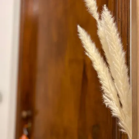 Apartman Casa Luisetta