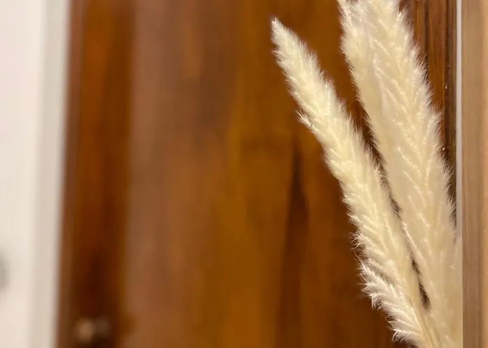 アパート Casa Luisetta